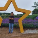 바람언덕 이미지