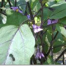 희연농장 이미지