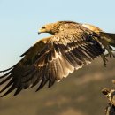 강서동물병원 이미지