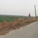 화원면사무소 이미지