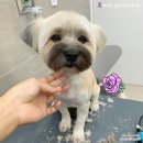 을지라사 이미지