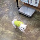 티플러스동물메디컬센터 이미지