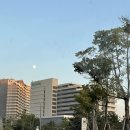 호텔세탁 | 한화리조트 거제 벨버디어에서의 2박3일 힐링 여행 Ꮚ˘̴͈́ꈊ˘̴͈̀Ꮚ _1일차