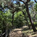 파자마델리 | 서울 용산 가볼만한 곳 l 효창공원 + 파자마델리, 강아지동반 후기!
