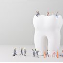 서울바른현치과의원 이미지