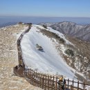 새밭 | 소백산 등산 어의곡 코스 12km: 새밭유원지주차장 ~ 잣나무숲 ~ 비로봉 원점회귀