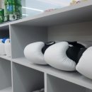 박스원복싱 일산역 이미지