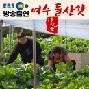 한국기행 여수 돌산 갓 박춘화 갓김치