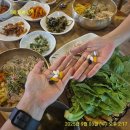 시골보리밥상 이미지