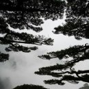 (주)경기매일 - 10113 | (주)경기매일