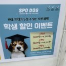 스포독 이미지