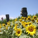 정승농장 이미지