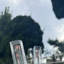 팬더리아 이미지