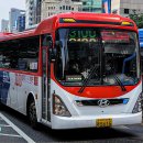 선진버스 이미지