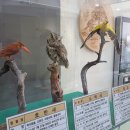 소나무전시관 화장실 이미지