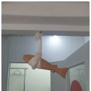 인네이트 서대문 이미지