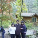 소풍 Daum카페