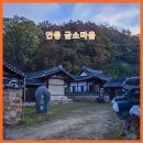 본마을4길 9 | 속이 다른 반전 매력! 안동 감성숙소 추천 금소마을 '스테이 예인'에서 만휴정 기적과 용계리 은행나무...