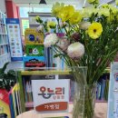 영통어린이서점, 온누리페이 되니까 진짜 대박이에요 어린이날 행사까지 역대급! - 어린이날가볼만한곳