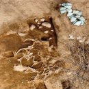 진상체육관 이미지