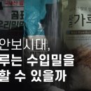 식량안보시대, 쌀가루는 수입밀을 대체할 수 있을까 - 뉴스타파 / 쌀값 폭락...미곡처리장 적자 눈덩이 이미지