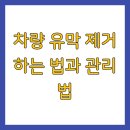 차량 유막 제거 하는 법과 관리 법