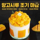 시루 이미지