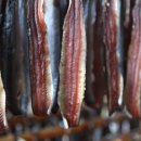 구룡포 과메기 이미지