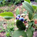 승모농장 이미지