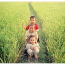 방신한의원 이미지