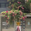 그늘막106 | [대만] 타이베이 여행 04. 지앤궈꽃시장 / 화산1914 / 빙찬 / 중산카페거리 SNAPPP / 스린야시장 / 대만...
