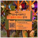 하노이맥주밤거리부산 - 사하구 낙동남로1423번길 144 | 하노이맥주밤거리부산