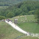 명산목장2 이미지