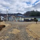 수하리 캠핑파크 | 자연 속 힐링하기 좋은 홍천 캠핑장, 수하캠핑파크 캠핑 후기