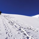 백숙삶다 이미지