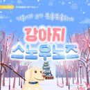 분홍강아지 이미지