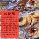 렌탈라이프주식회사 이미지