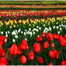 장평4로 이미지