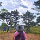 동부농협주유소 | 경남산책, 진주 초전동 장재공원(더샵피에르테)
