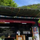 홍시먹으러곶감 이미지