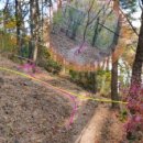 장수천 약수터 입구 이미지