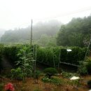 미녀네농장 이미지