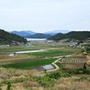 완도 고금도 지석묘군 이미지