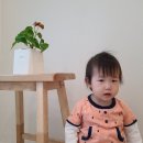 어느 날, 영월 산 책 이미지