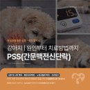 심동물병원 이미지