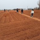 버들농장 이미지