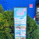 주식회사 뉴코아 | 일산 대형 그릇 매장 편집샵 추천 보니타하우스 본점 그릇쇼핑 보니타하우스구여정 축제