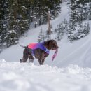 마크로24시 동물병원 이미지