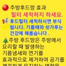 송도 필터