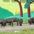 덕유축산